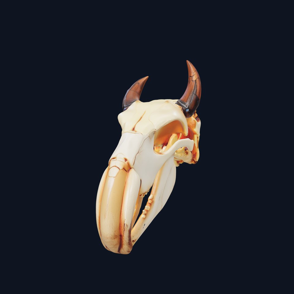 Animal Skull Model Pack